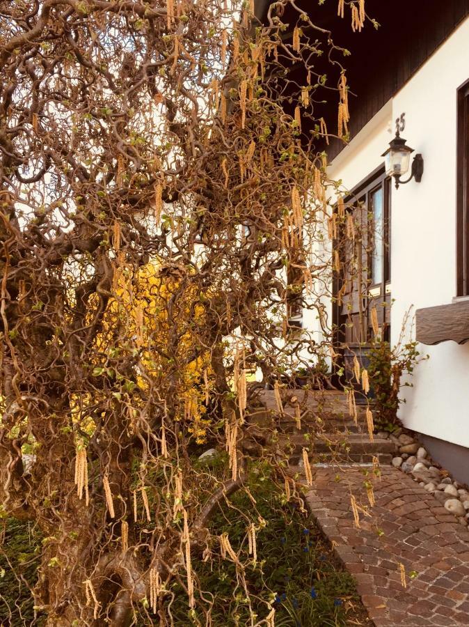 Muhlhausen-Ehingen Hegau-Lounge-Bodensee מראה חיצוני תמונה